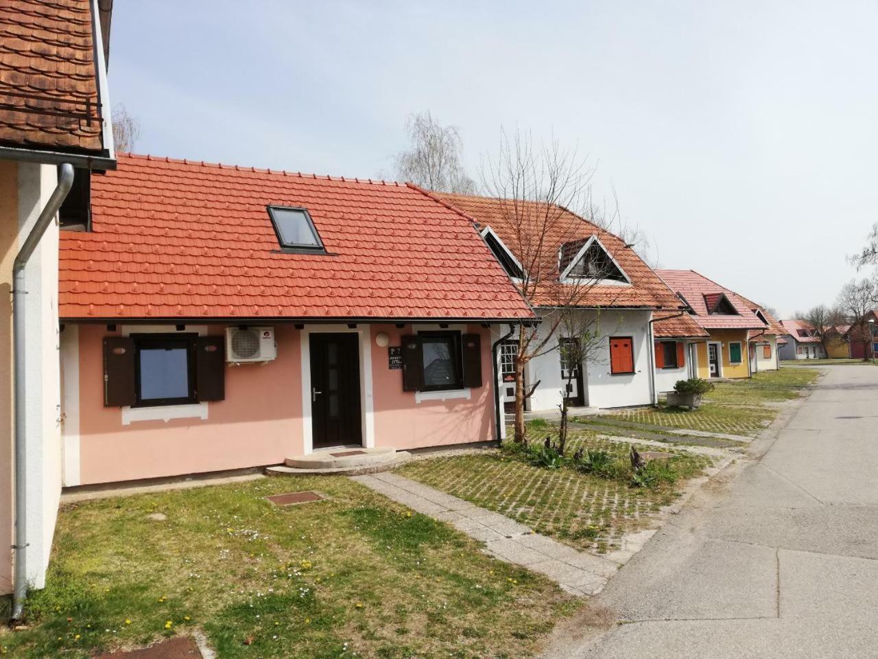 Apartma Stela In Terme Catez Catez ob Savi Esterno foto
